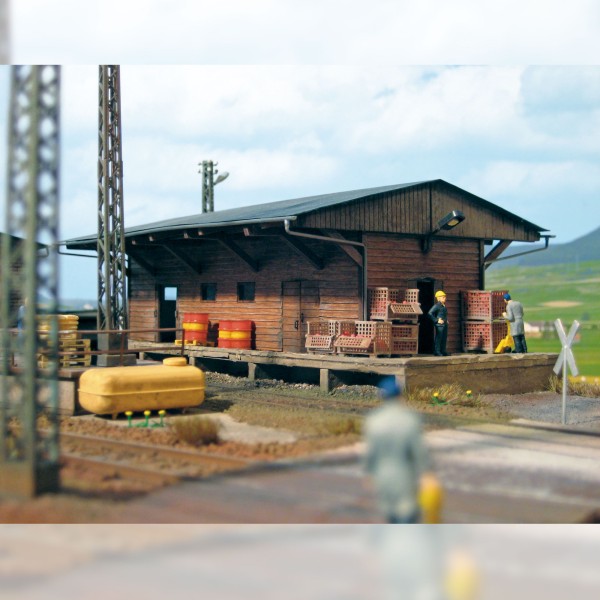 TT Güterschuppen 'Braunsdorf'