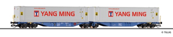 TT Doppeltragwagen/6-a. ITL 2x40ft.Container